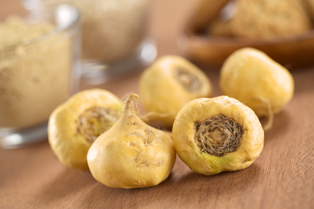 Raíz de maca amarilla en polvo y fresca utilizada como suplemento natural para apoyar el bienestar hormonal durante la menopausia.