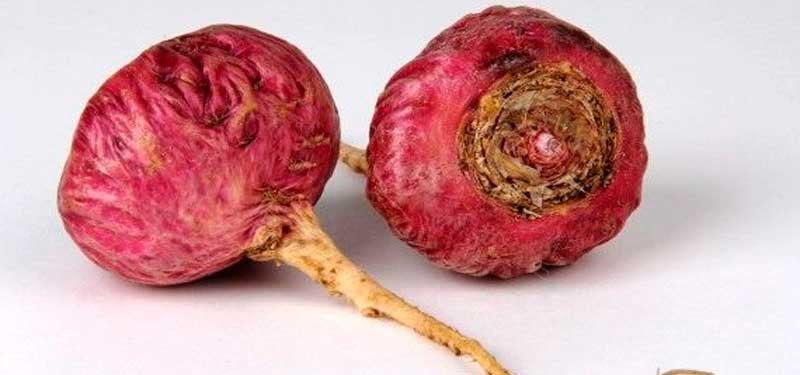 Raíz de maca roja peruana junto a polvo de maca, utilizada como suplemento natural para apoyar el bienestar hormonal durante la menopausia.